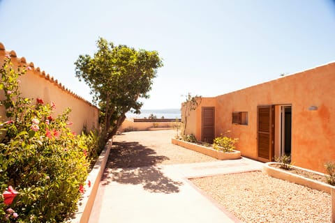 Pine & Eucalyptus Apartment in Formentera