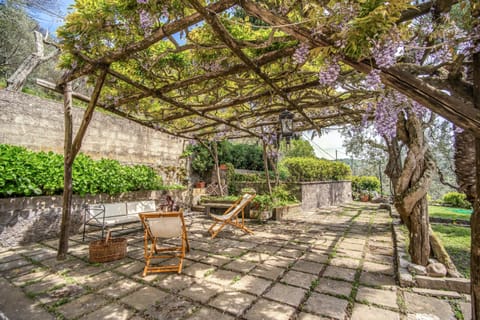 Whispering Wisteria Apartment in Massa Lubrense