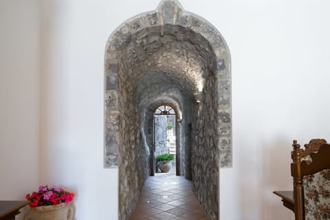 Mimosas on the Amalfi Apartment in Massa Lubrense