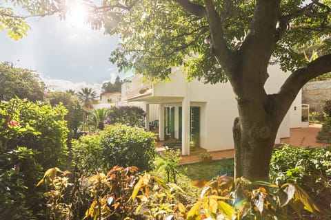 Atlantic Mist Apartment in Caniço