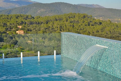 Olive Branches Apartment in Pla de Mallorca