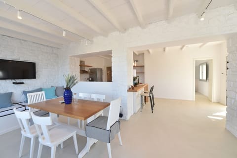 The Greek Flag Apartment in Paros, Greece