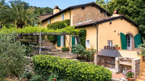 Chestnut Charm Apartment in Lucca