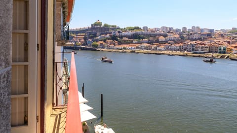 A Squirrel’s Eye View Apartment in Porto