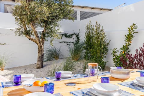 Refuge of Salt and Rice Apartment in Comporta