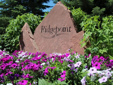 Stone monument with the text "Ridgepoint" surrounded by purple and white flowers and green foliage.