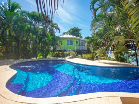 Sand Dollar beach bungalow & pool