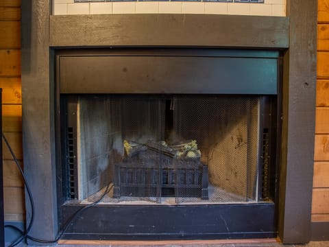 Living Area Electric Fireplace
