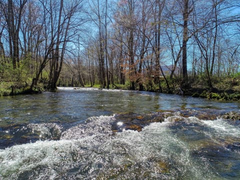 Rippling Creek