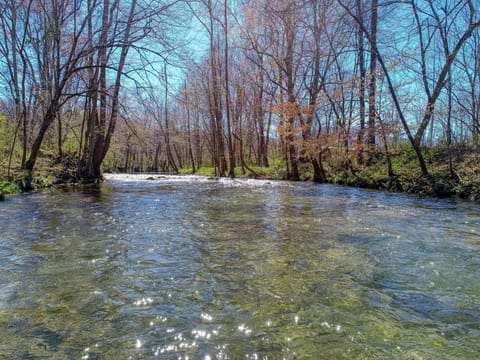 Beautiful Creek