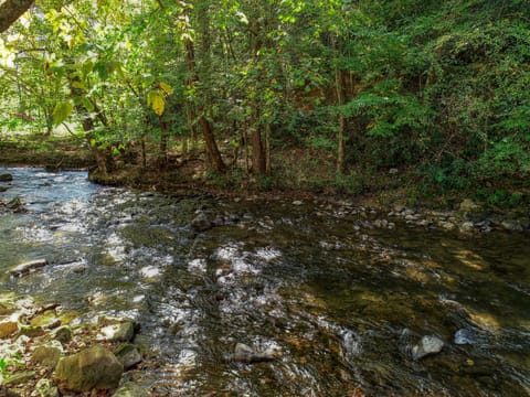 Creek View