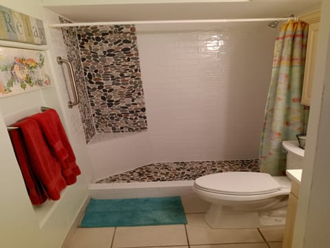 REMODELED WALK-IN SHOWER WITH GRAB BAR