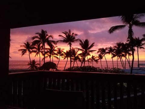 29. Sunset View