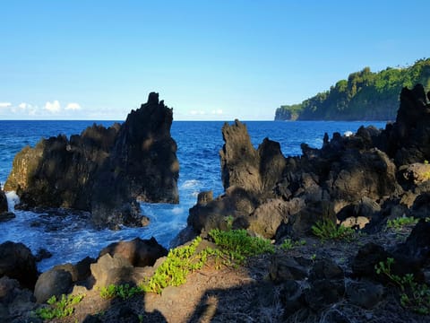 Places to Visit: Laupahoehoe Point