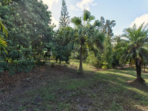 Fruit Trees Galore on this Private Acre!