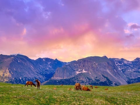 Estes Escape - Sunset in the Rocky Mountain National Park