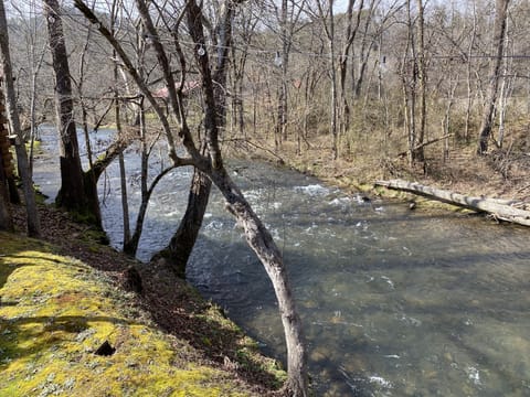 Beautiful Creek