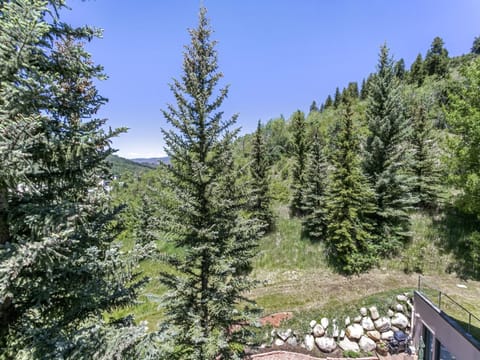 Scenic landscape with tall pine trees, green hills, and clear blue sky. Rocky area visible on the lower right.