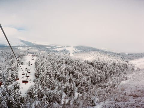 Welcome to Park City!