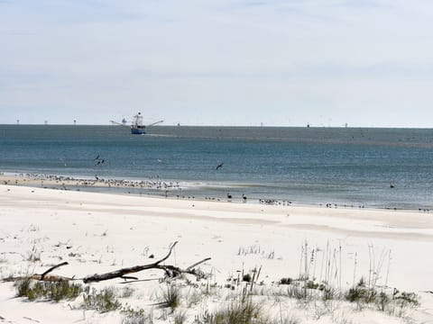 Island Time II Dauphin Island