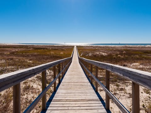 Path to Paradise Dauphin Island Beach Club Condo