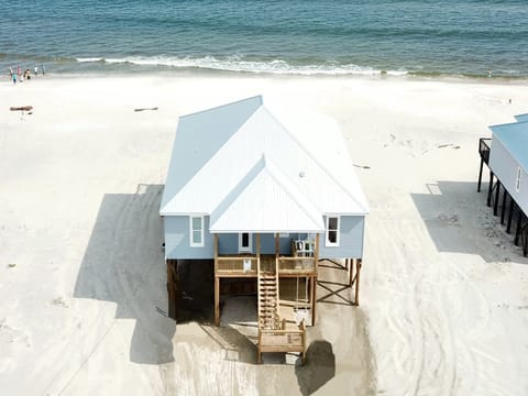 04 Pelican Perch DJI_0580.jpg