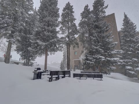 Backyard area in the midst of a snowstorm.