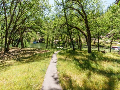 Path leading to lake cove. Unit 1 Lot 300 - Pine Mountain Lake Vacation Rental "Cozy Cabin on the Cove."