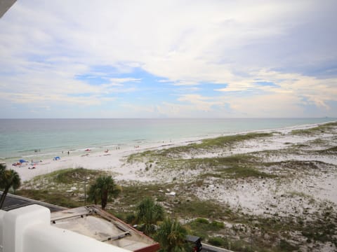 Entrance / Kitchen View
