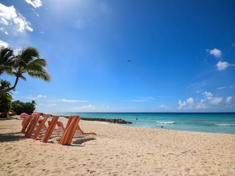 Sandy beach with clear turquoise water - a holiday dream!