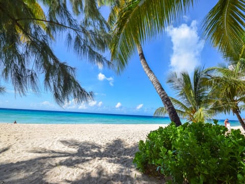 The beautiful beach by our condo