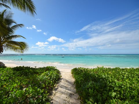 Pathway to the beach