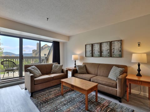 Living room with sleeper sofa