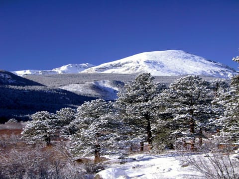 View of Copland Mountain from Property
