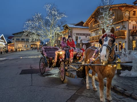 Jacob Yu Photography-Leavenworth Horse Drawn Sleigh Ride