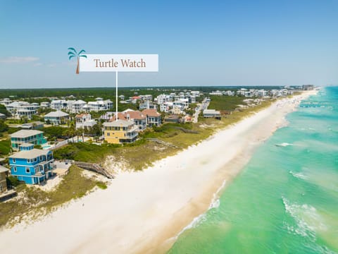 Turtle Watch | Beachfront Vacation Rentals | Inlet Beach Florida