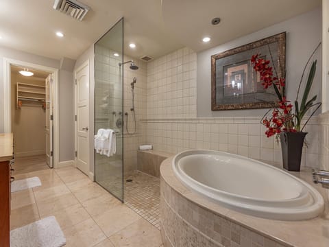 Large primary bathroom with a soaking tub and walk-in shower