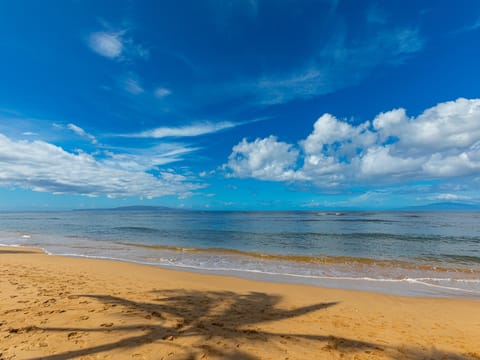 LOOK at that ocean view! Steps away!