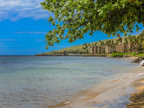 Maui beach by Maalaea Banyans