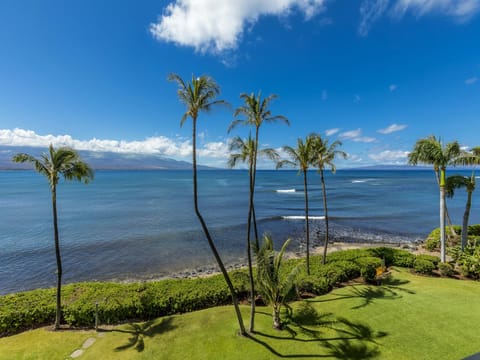 View from your private Lanai looking West. Turtles love this bea