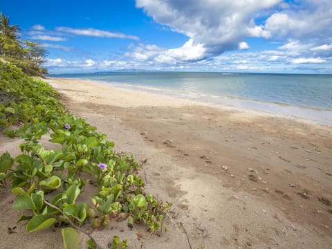 Enjoy a short stroll to the beautiful stretch of Maui beaches