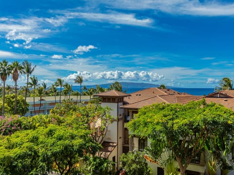 View looking South from your private lanai