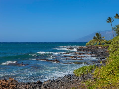 Good vibes happen on the tides.Great snorkeling at Wailea Beach