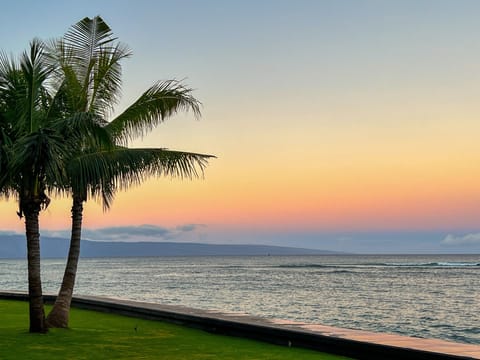 Absorb the Beauty of the Hawaiian Islands