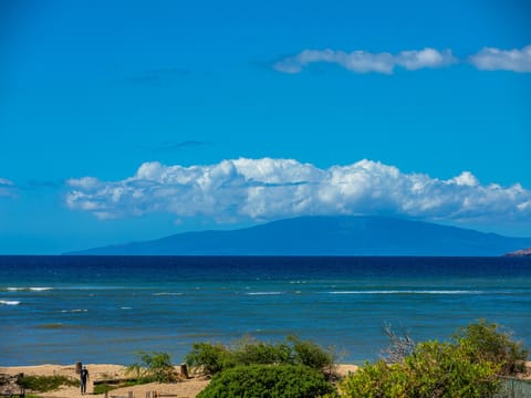 Majestic ocean view from the lanai