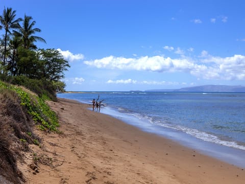 Taking in a Stunning View while Strolling Along the Beach