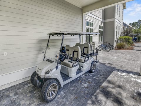 6 Seat Golf Cart to Cruise to Publix or Watercolor Beach Club