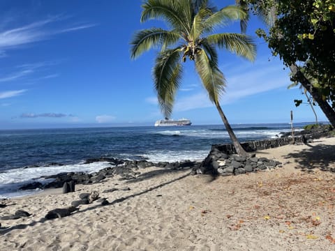 Honls Beach Park close to the unit