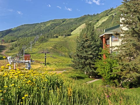 Enjoy access to miles of hiking and biking trails from your condo