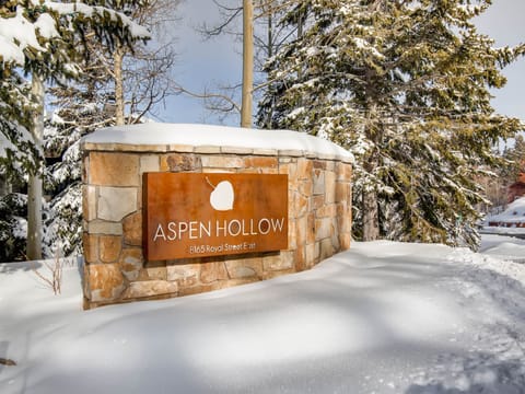 Aspen Hollow Entrance Sign